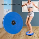 Twisting Board Manufacturer - Custom Top Sale Twisting Waist Disc Bodytwister Fitness Balance Rotating