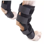 Dog Leg Brace Manufacturer - OEM Small Short Legs Protector Canine Rear Hock Knee Support with Reflective Straps
