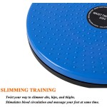 Twisting Board Manufacturer - Custom Top Sale Twisting Waist Disc Bodytwister Fitness Balance Rotating
