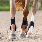 Horse Boots Supplier - Sports Front Leg Protector Lightweight Protective Adjustable Jumping Schooling