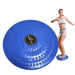 Twisting Board Manufacturer - Custom Top Sale Twisting Waist Disc Bodytwister Fitness Balance Rotating