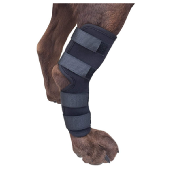 Dog Leg Brace Manufacturer - OEM Small Short Legs Protector Canine Rear Hock Knee Support with Reflective Straps
