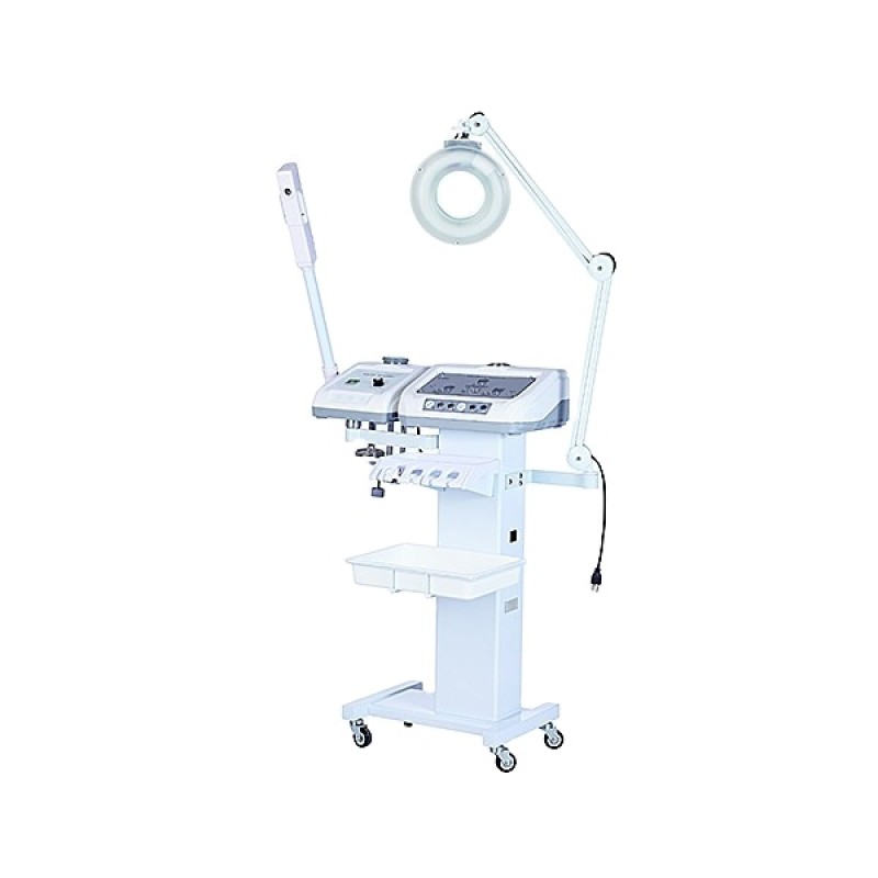Salon Facial Machine Factory - Popular 11 in 1 Multifunction Salon Facial Beauty Equipment