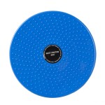 Waist Twister Supplier - Hot Selling Top Grade Home Exercise Sport Slimming Waist Twisting Plate