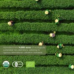 ODM/OEM Matcha Powder Manufacturer - Private Label Organic Mineral Superfood Dietary Fiber Complete Multivitamin Supplement