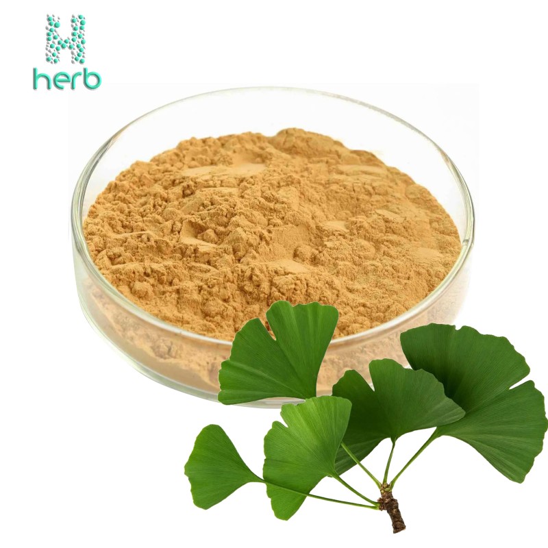 Ginkgo Biloba Leaf Extract Powder Manufacturer - OEM/ODM 24% Flavonoids 6% Lactones Supplement