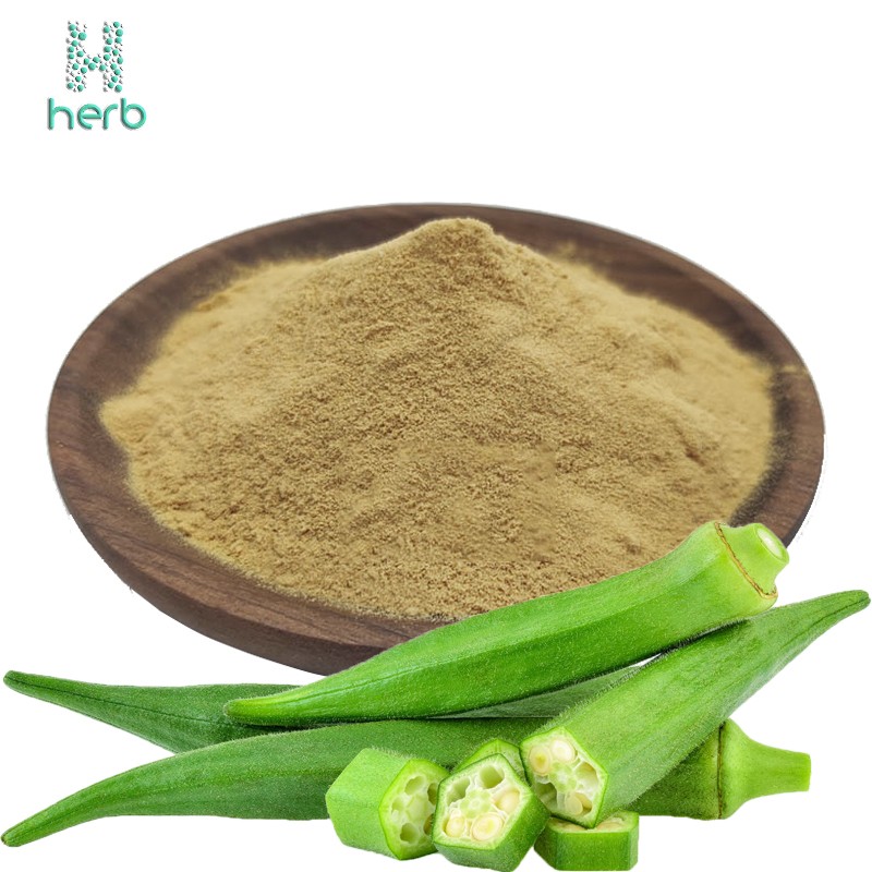 Okra Extract Powder Manufacturer - OEM/ODM 100% Pure Okra Supplement