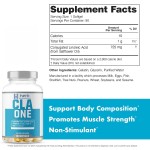 CLA Softgels Manufacturer - OEM/ODM Conjugated Linoleic Acid Supplement (From Safflower Oil for Body Composition & Lean Muscle)