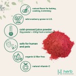 Organic Cranberry Extract Powder Manufacturer - OEM/ODM Wholesale 5% 10% 15% 25% PAC Supplement