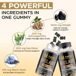 OEM Shilajit Gummies Manufacturer - Private Label Organic Natural Himalayan Shilajit Resin Extract Supplement