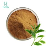 Green Tea Extract Powder Manufacturer - OEM/ODM 98% UV EGC EGCG Tea Polyphenols Supplement