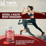 ODM/OEM Apple Cider Keto Gummies Manufacturer - Private Label Complex Vitamins Minerals Supplement for Energy Support
