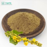 Mullein Leaf Extract Powder Manufacturer - OEM/ODM Wholesale Verbascum Thapsus Mullein Extract