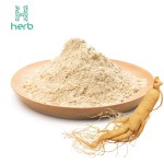 Ginseng Extract Manufacturer - OEM/ODM Best Price 80% Ginsenoside Supplement