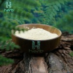 Ginseng Extract Manufacturer - OEM/ODM Best Price 80% Ginsenoside Supplement