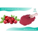 Organic Cranberry Extract Powder Manufacturer - OEM/ODM Wholesale 5% 10% 15% 25% PAC Supplement