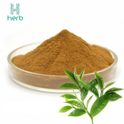 Green Tea Extract Powder Manufacturer - OEM/ODM 98% UV EGC EGCG Tea Polyphenols Supplement