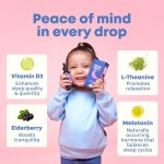 Kids Melatonin Drops Manufacturer - OEM/ODM Liquid Sleep Aid with L-Theanine High Absorption Berry Flavor (With Vitamin D)