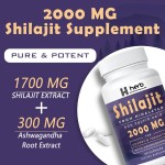 Shilajit Capsules Manufacturer - OEM/ODM Nutrition Pure Himalayan Shilajit with Fulvic Acid & Essential Minerals (Combats Fatigue)