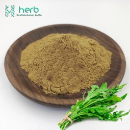 Lactuca Virosa Extract Powder Manufacturer - OEM/ODM Factory Supply Bulk Price 10:1 Wild Lettuce Extract