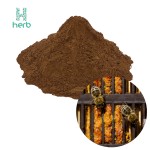 Bee Propolis Powder Manufacturer - OEM/ODM 100% Natural Pure Extract with High Flavonoids