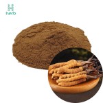 Cordyceps Extract Powder Manufacturer - OEM/ODM High Quality Cordyceps CS-4 Militaris Sinensis Supplement
