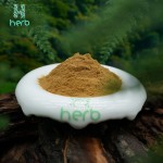 Catuaba Bark Extract Powder Manufacturer - OEM/ODM Factory High Quality 50:1 Supplement