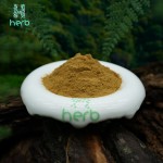 Spilanthes Acmella Extract Powder Manufacturer - OEM/ODM Factory Supply 10:1 20:1 Acmella Oleracea Supplement