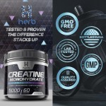 Creatine Monohydrate Powder Manufacturer - ODM/OEM Supplement with Complex Vitamins Minerals for Energy Support