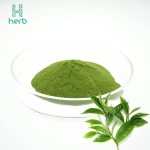 Organic Matcha Green Tea Powder Manufacturer - OEM/ODM Factory Supply Premium Matcha Powder
