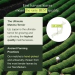ODM/OEM Matcha Herbal Supplement Manufacturer - Private Label Organic Mineral Superfood Dietary Fiber Super Greens Vegetable Powder