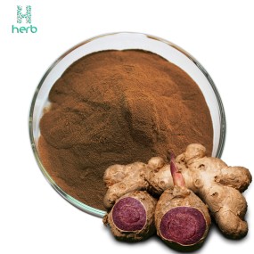 Black Ginger Extract Powder Manufacturer - OEM/ODM Factory Supply 100% Natural Bulk Price 5