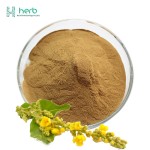 Mullein Leaf Extract Powder Manufacturer - OEM/ODM Wholesale Verbascum Thapsus Mullein Extract