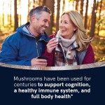 Lion's Mane Mushroom Drops Manufacturer - OEM/ODM Vegan Sugar-Free Brain & Focus Support Supplement