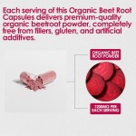 OEM/ODM Beet Root Capsules Manufacturer - Private Label Dark Cherry Flavor for Adults Blood Health Support