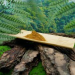 Catuaba Bark Extract Powder Manufacturer - OEM/ODM Factory High Quality 50:1 Supplement