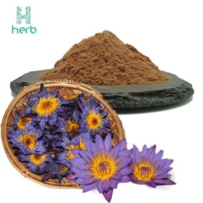 Blue Lotus Flower Extract Powder Manufacturer - OEM/ODM Hot Sell Dried Nymphaea Tetragona Lotus Leaf Flower Extract