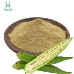Okra Extract Powder Manufacturer - OEM/ODM 100% Pure Okra Supplement