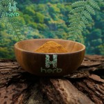 Cordyceps Supplement Manufacturer - OEM/ODM Wholesale Cordyceps Flower Militaris Extract Powder