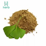 Ginkgo Biloba Leaf Extract Powder Manufacturer - OEM/ODM 24% Flavonoids 6% Lactones Supplement