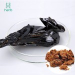 Refined Propolis Extract Manufacturer - OEM/ODM 100% Natural Pure 98% Propolis Extract with 20% Flavonoids