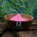 Organic Pink Pitaya Powder Manufacturer - OEM/ODM 100% Native Water Soluble Red Dragon Fruit Powder