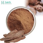 Cistanche Extract Powder Manufacturer - OEM/ODM High Quality 10:1 20:1 Cistanche Tubulosa Supplement