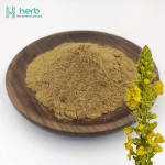 Mullein Leaf Extract Powder Manufacturer - OEM/ODM Wholesale Verbascum Thapsus Mullein Extract