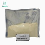 Organic Lyophilized Royal Jelly Powder Manufacturer - OEM/ODM 4%-6% 10-HDA Supplement