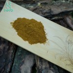 Ashwagandha Root Extract Powder Manufacturer - OEM/ODM Wholesale 2.5% 5% Withanolides Organic Withania Somnifera