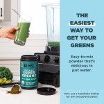 Organic Super Greens Powder Manufacturer - Private Label Mineral Superfood Dietary Fiber Multivitamin Supplement