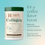 Collagen Peptides Powder Manufacturer - OEM/ODM Unflavored Quick Dissolve Hydrolyzed Supplement (Non-GMO for Skin Hair Nails Joints Digestion)