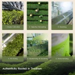 ODM/OEM Matcha Powder Manufacturer - Private Label Organic Mineral Superfood Dietary Fiber Complete Multivitamin Supplement