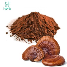 Ganoderma Lucidum Extract Powder Manufacturer - OEM/ODM Wholesale Bulk Pure Organic Reishi Mushroom Supplement